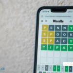 Best in Show for One NYT