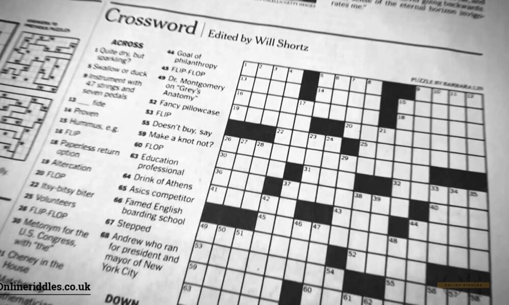 Statue of liberty NYT