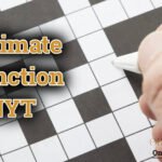 Ultimate Function NYT