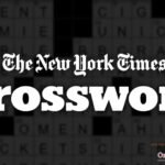 Follower of Joel NYT