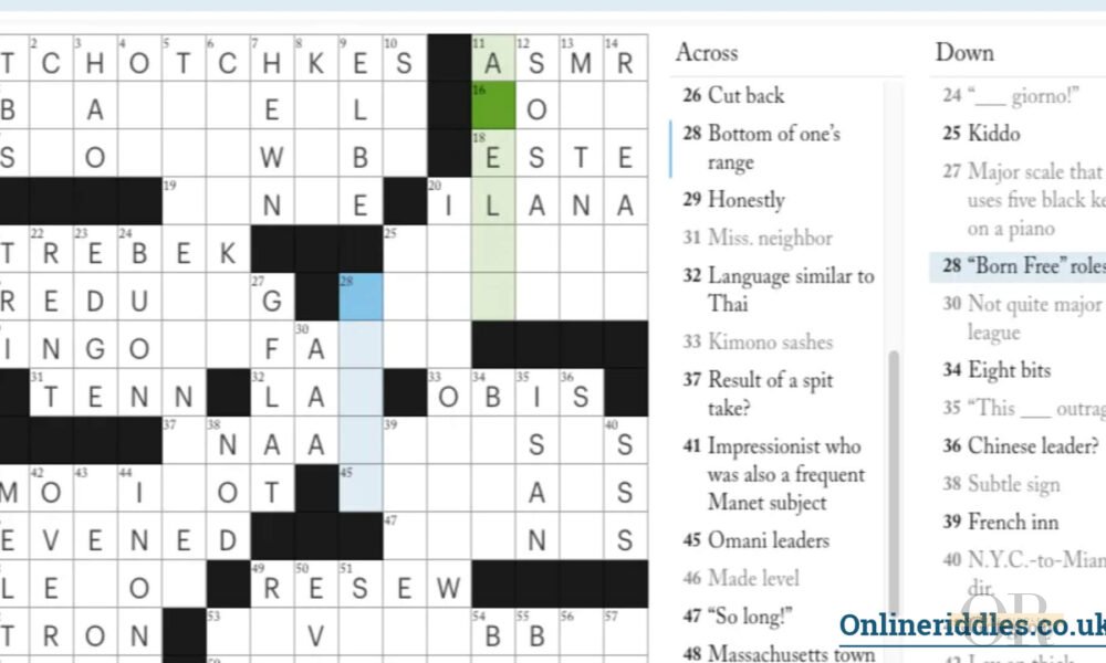 Ramsey of The Last of Us NYT